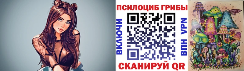 Псилоцибиновые грибы Cubensis  Тарко-Сале 